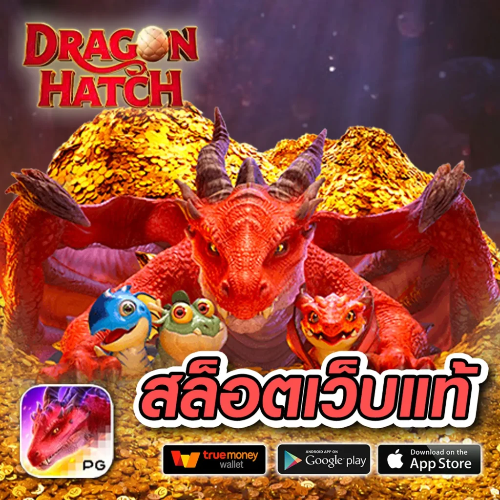 โบนัส vega bet